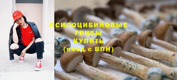МДМА Снежногорск