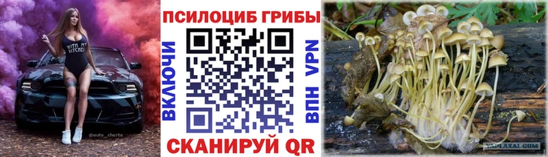 blacksprut как войти  Назарово  Псилоцибиновые грибы Psilocybine cubensis 